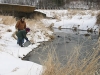 trout_2002_1.jpg