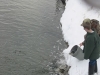 trout_2002_6.jpg