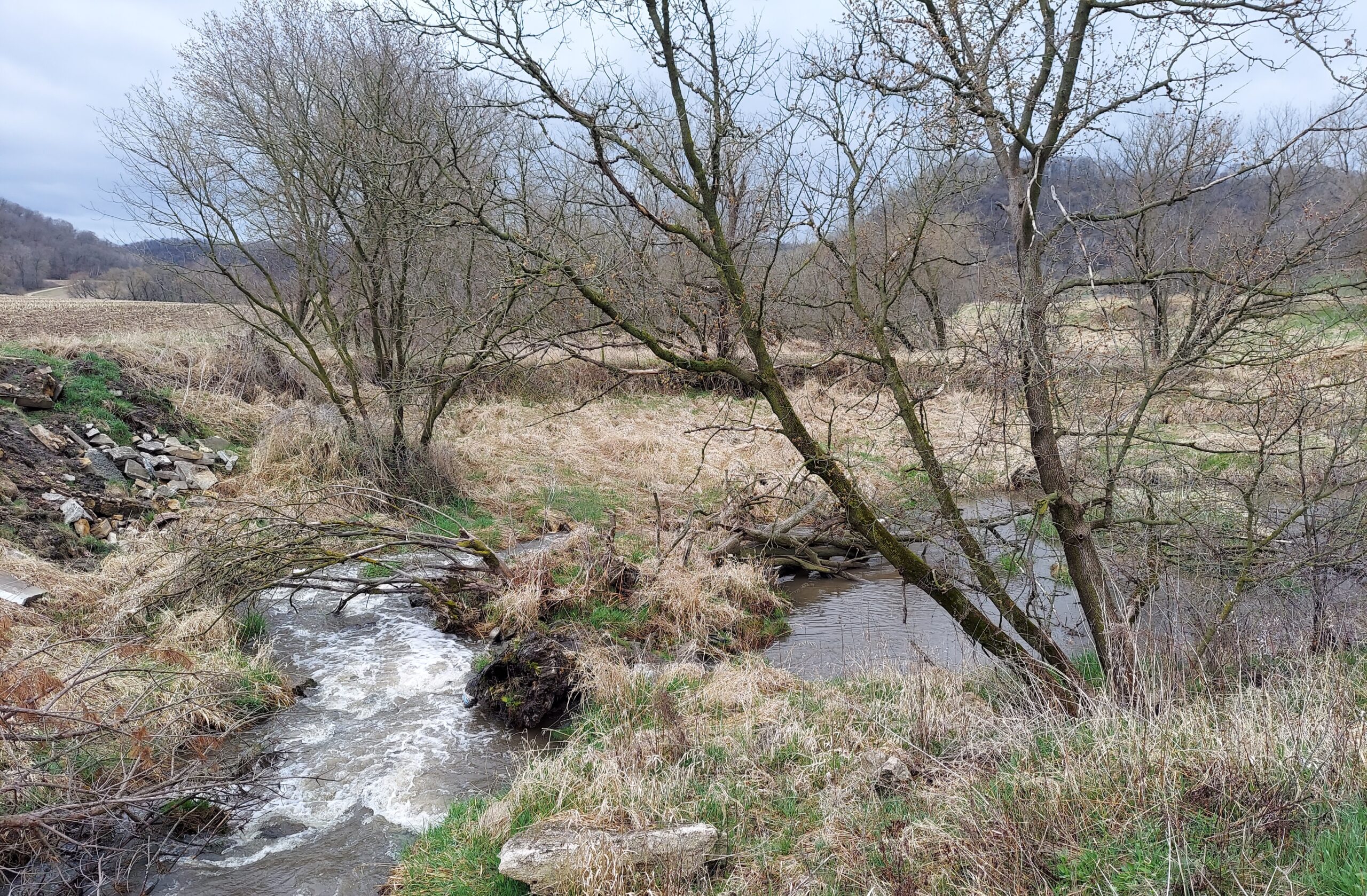 Trout Planting Trout Planting