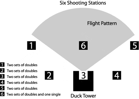 New Stations