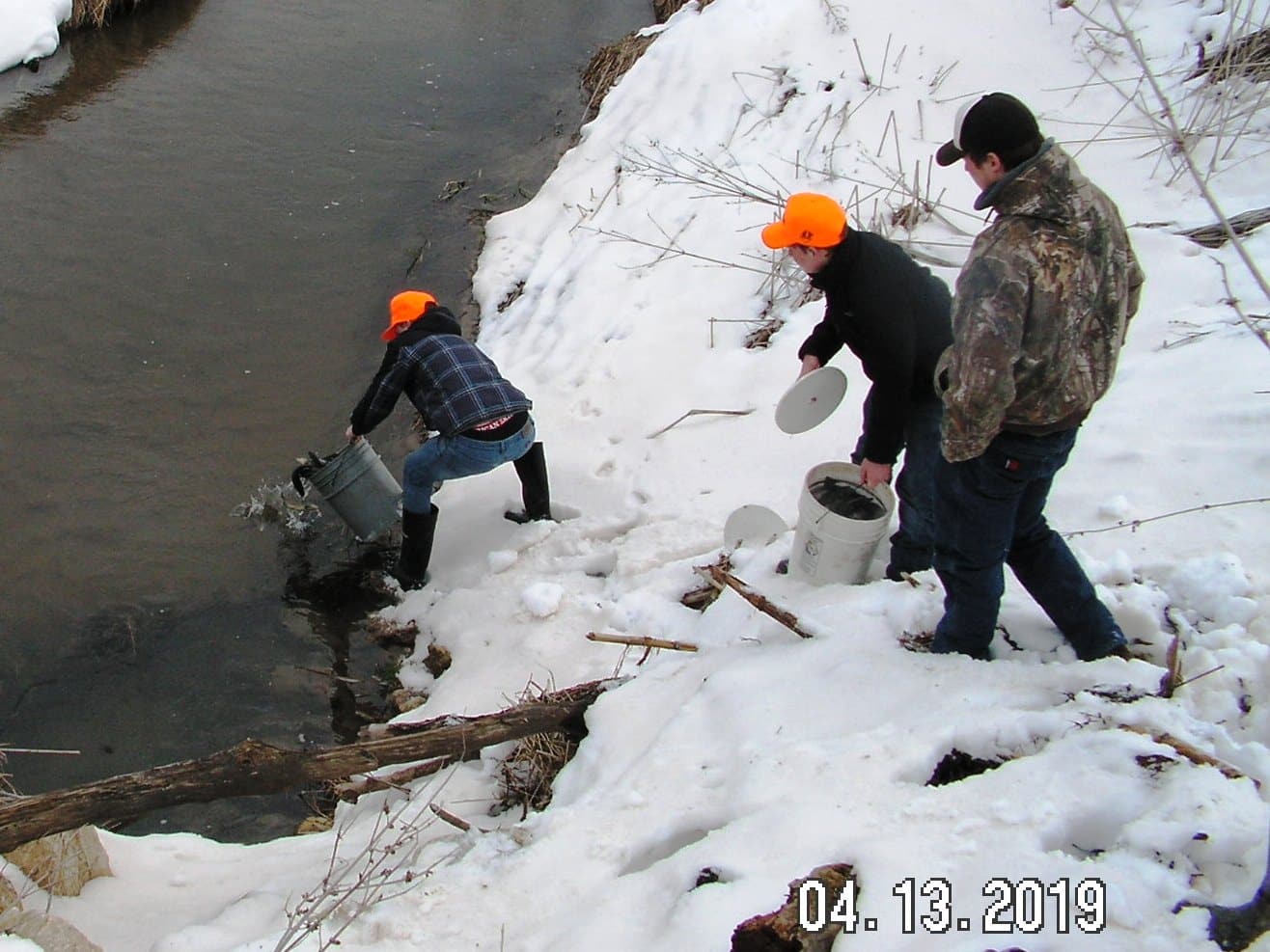 Trout Planting Pict0048
