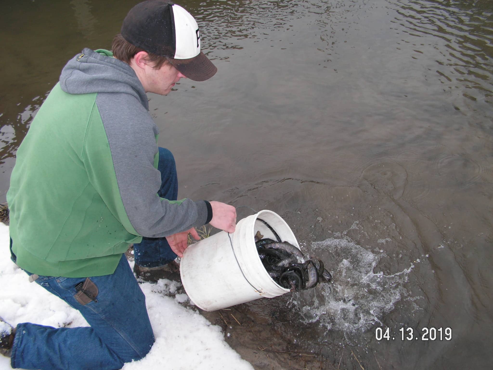 Trout Planting Pict0117