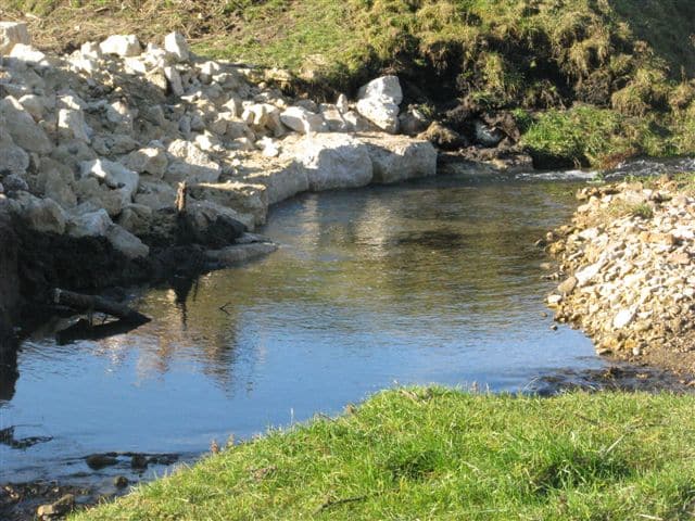 Troutstreamworknov2010 028